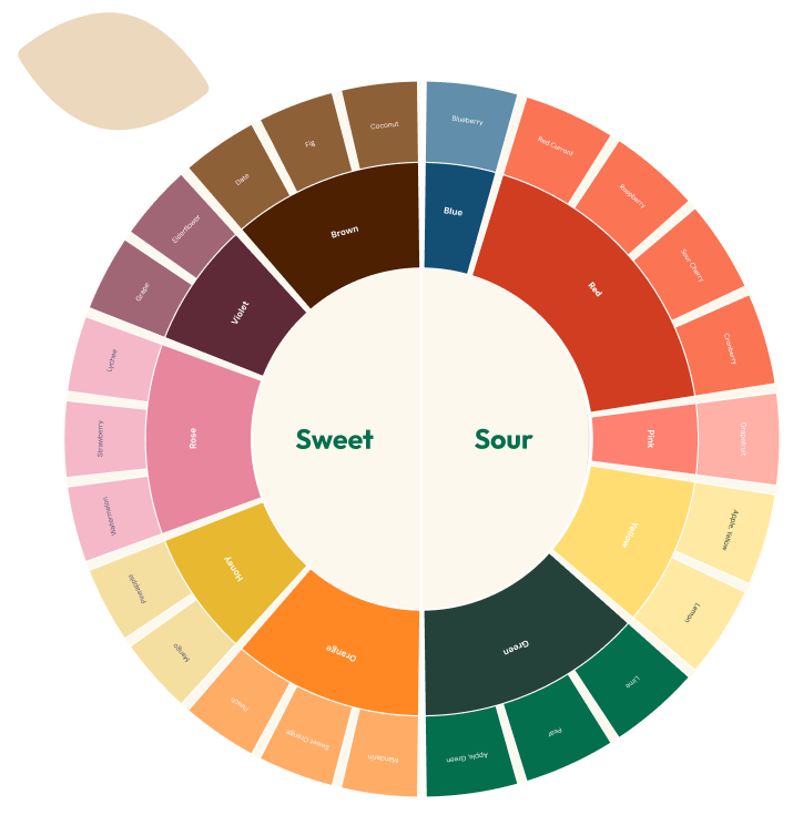 Aroma wheel image