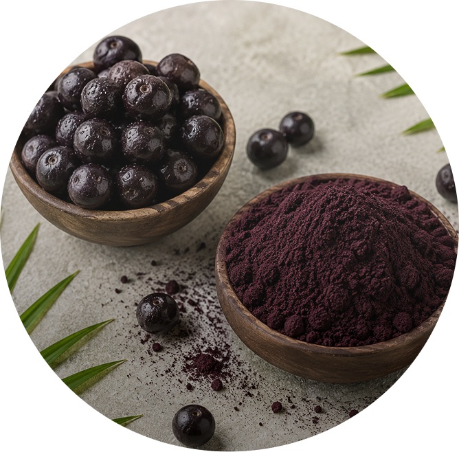 Botanical Extracts
